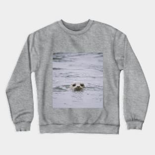 Seal Face Crewneck Sweatshirt